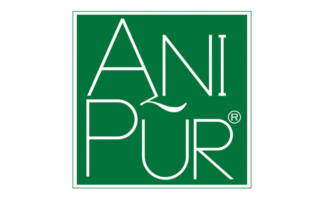 Anipur: Brand Identity Development