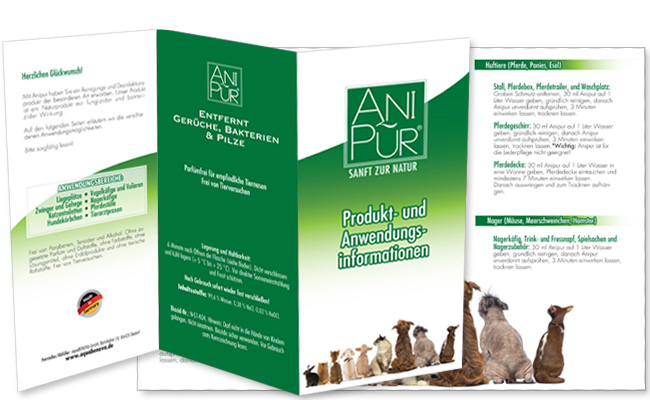 Anipur: Brand Identity Development