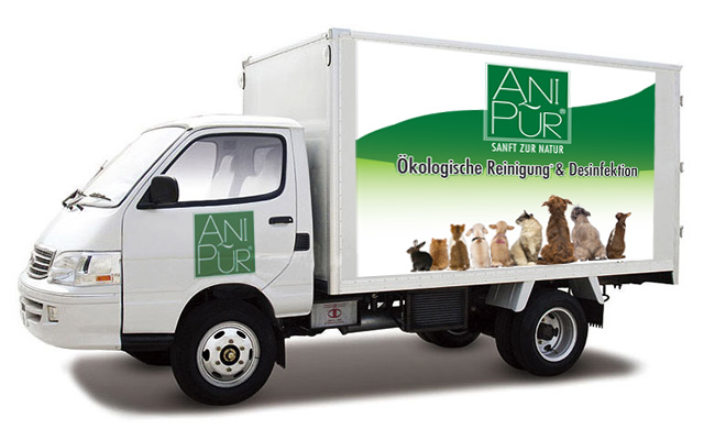Anipur: Brand Identity Development
